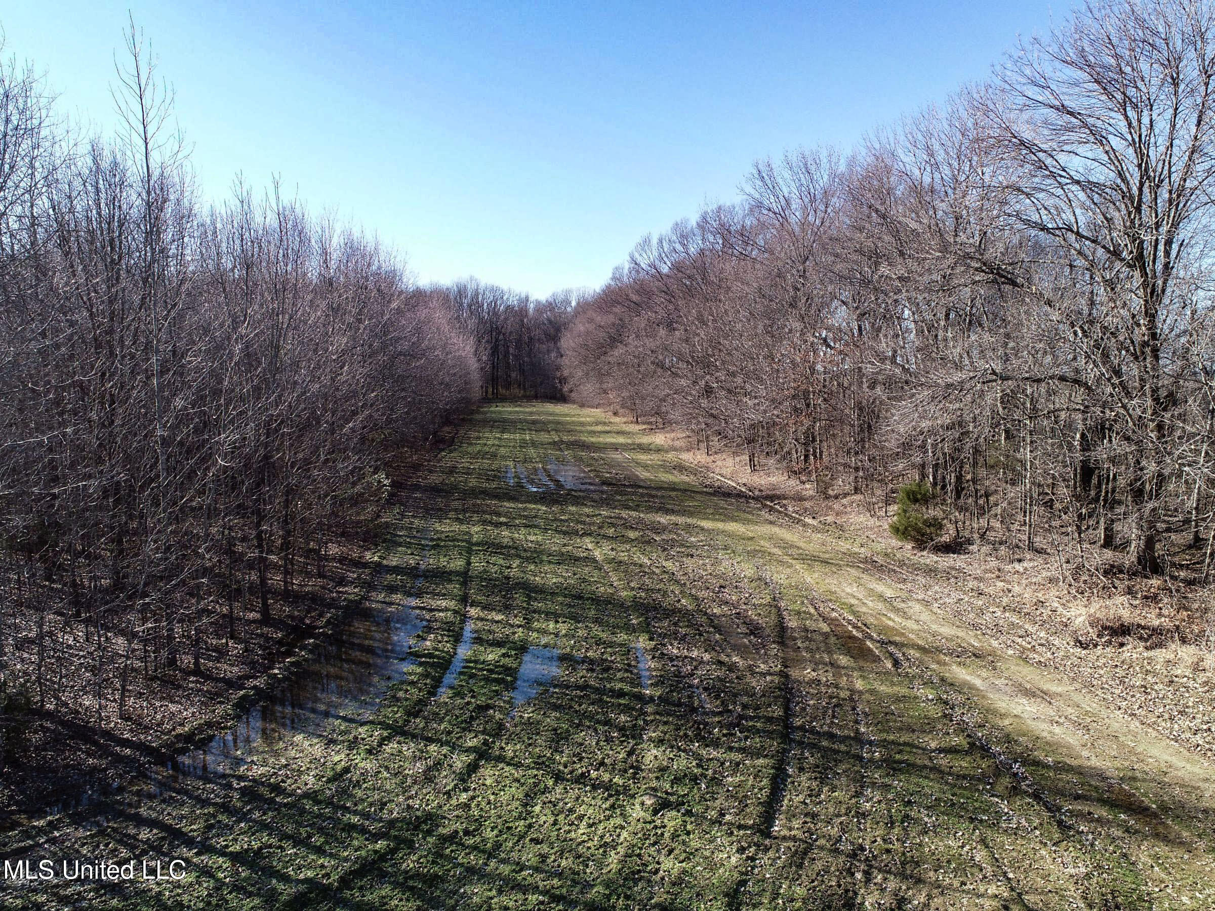 Curtis Road Batesville, MS 38606 - Photo 59 of 157 3sprgctrs52