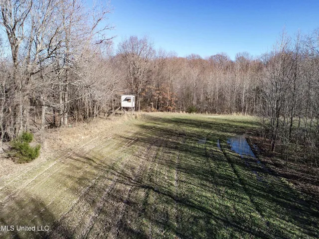 $625,000 | Curtis Road, Batesville, MS 38606