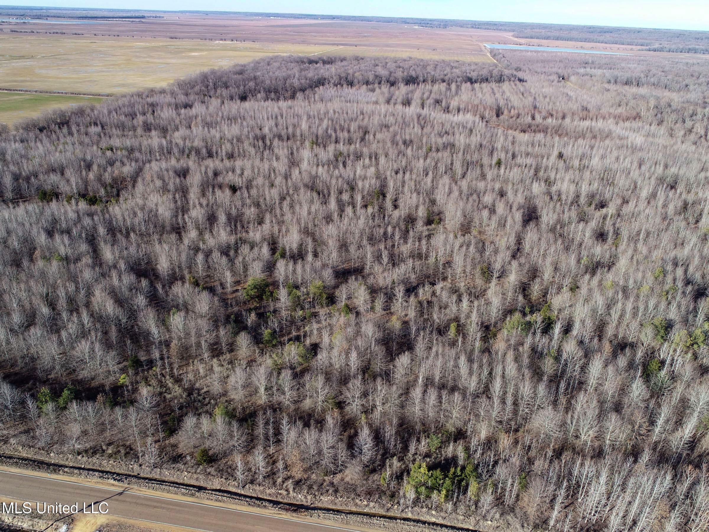 Curtis Road Batesville, MS 38606 - Photo 64 of 157 3sprgctrs60