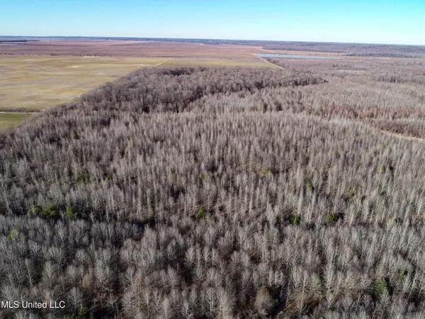 $625,000 | Curtis Road, Batesville, MS 38606