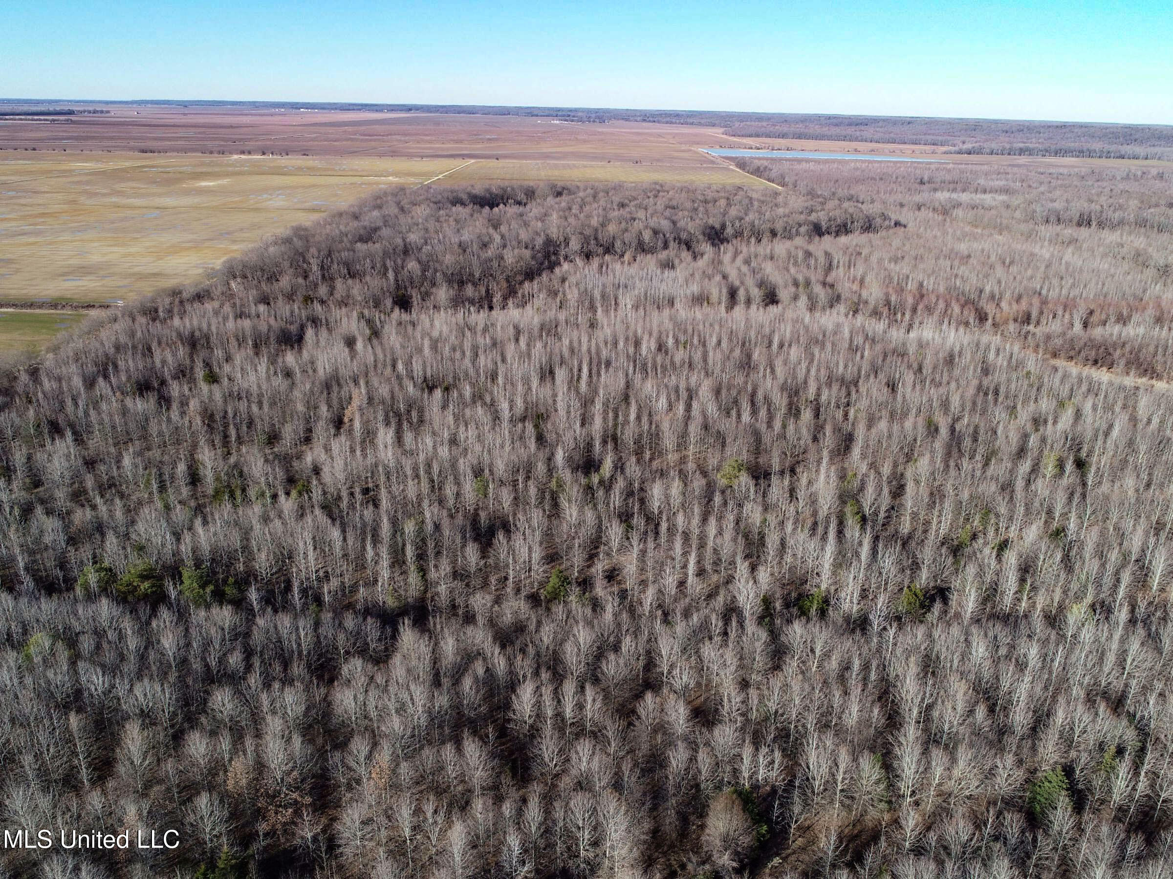 Curtis Road Batesville, MS 38606 - Photo 66 of 157 3sprgctrs63