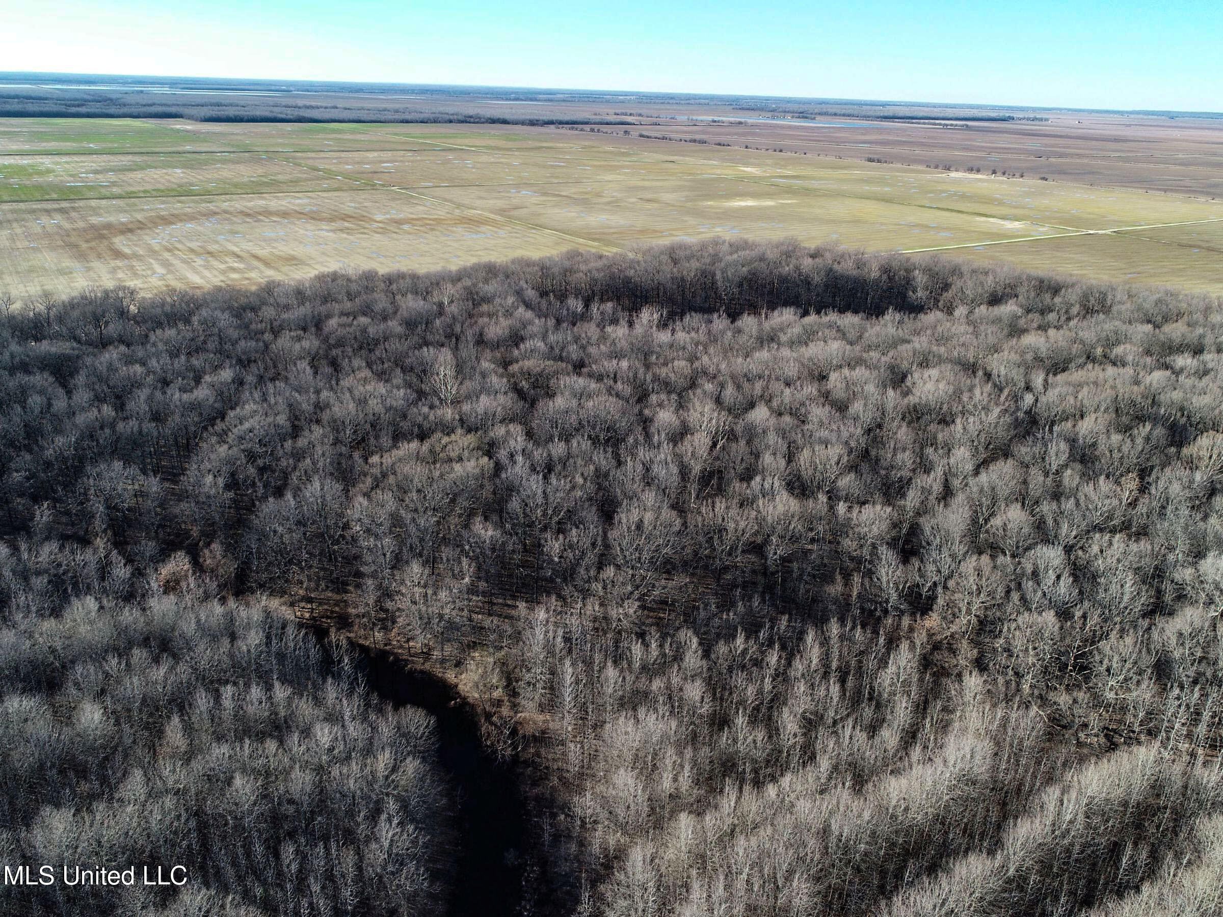 Curtis Road Batesville, MS 38606 - Photo 68 of 157 3sprgctrs65