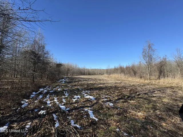 $625,000 | Curtis Road, Batesville, MS 38606