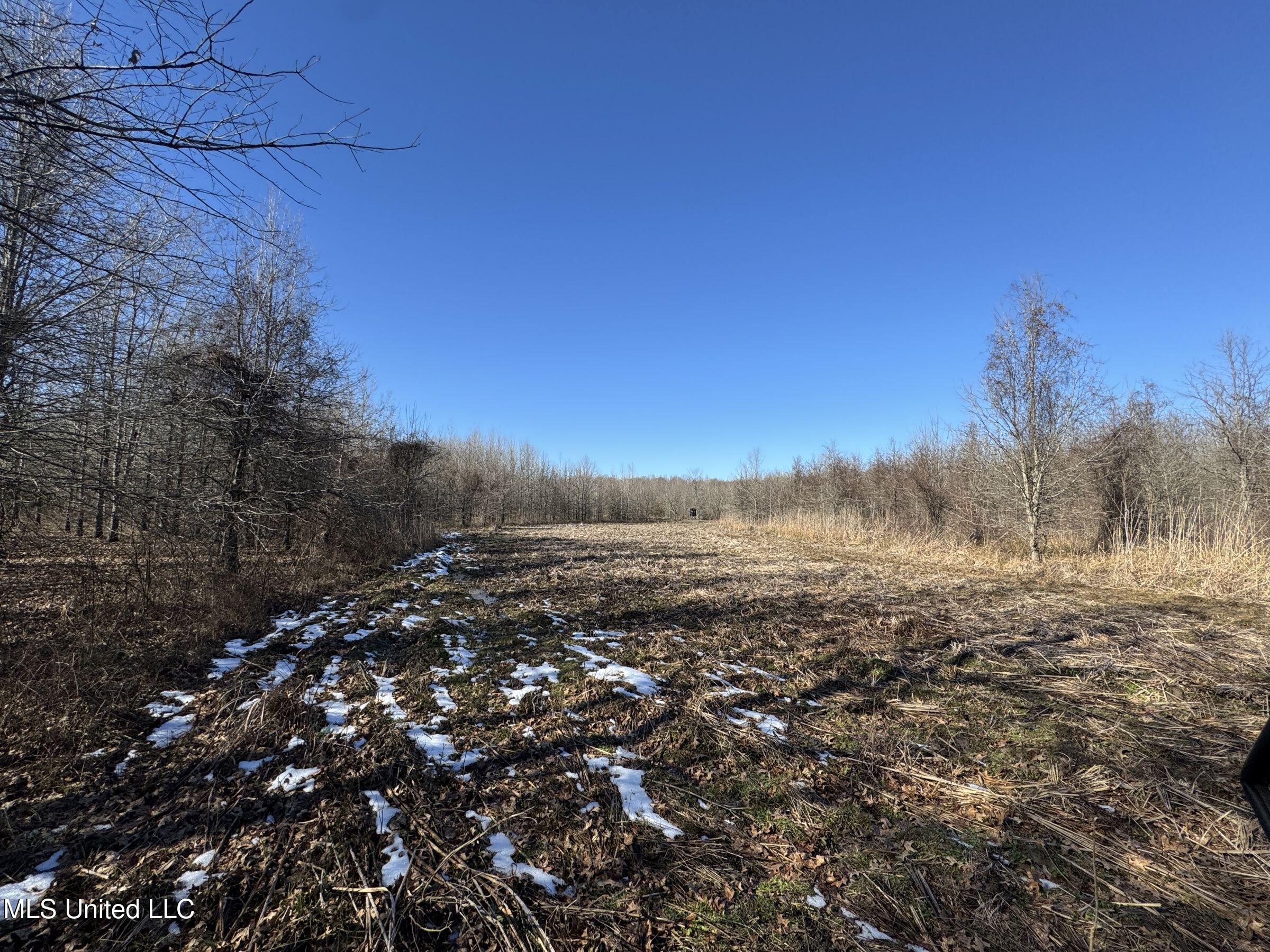 Curtis Road Batesville, MS 38606 - Photo 70 of 157 5sprgctrs3