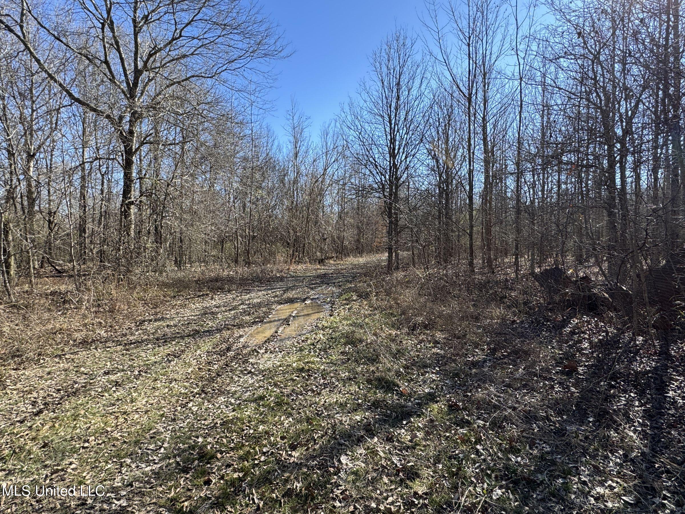 Curtis Road Batesville, MS 38606 - Photo 71 of 157 5sprgctrs5