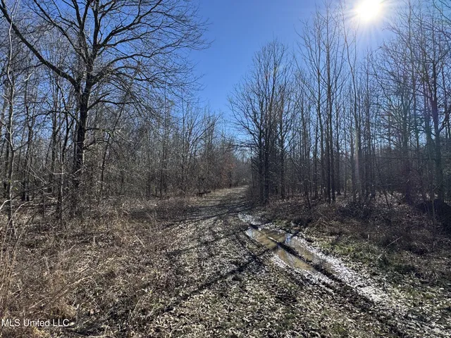 $625,000 | Curtis Road, Batesville, MS 38606