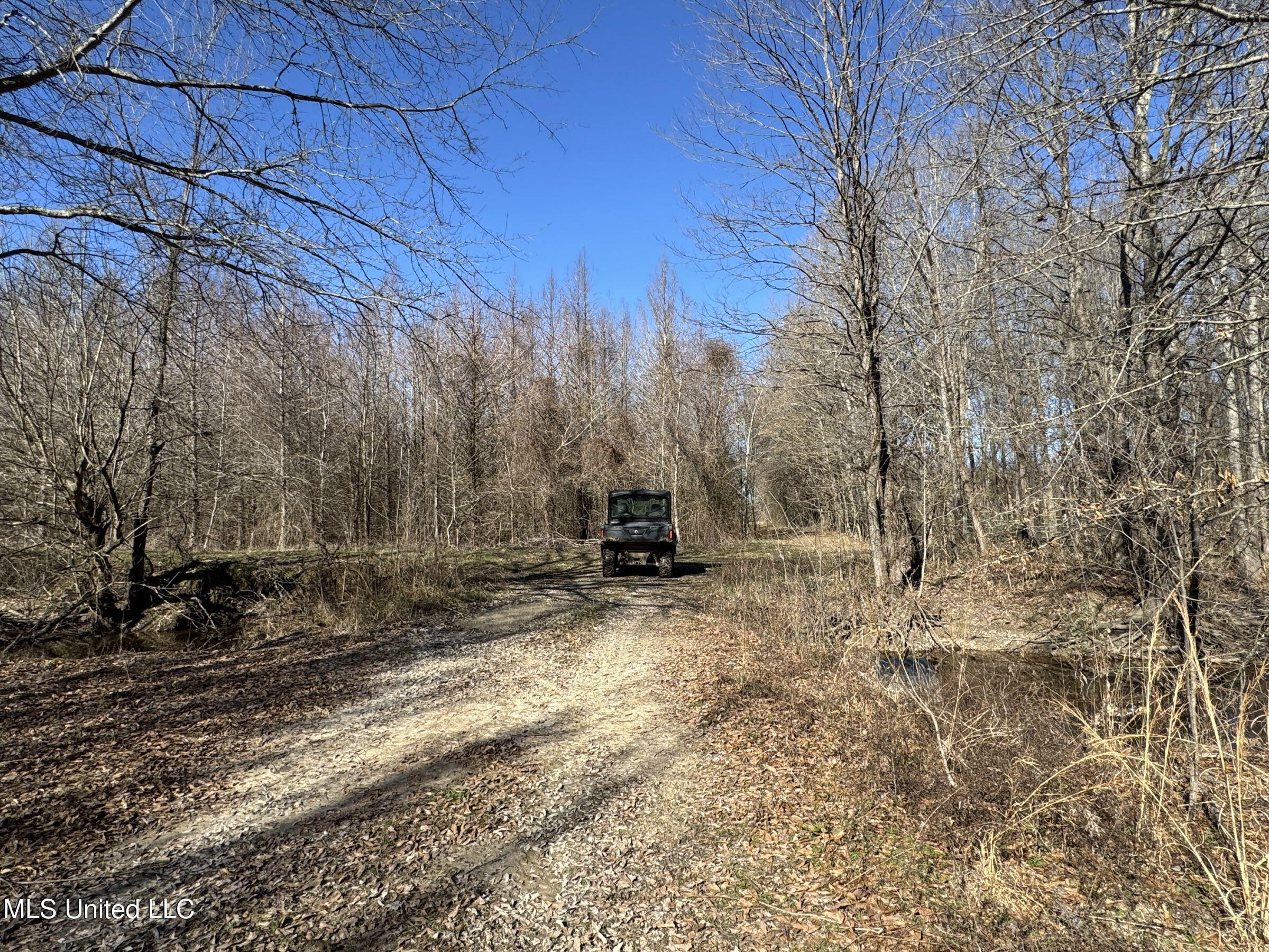 Curtis Road Batesville, MS 38606 - Photo 73 of 157 5sprgctrs7