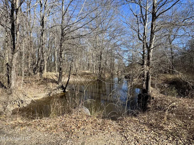 $625,000 | Curtis Road, Batesville, MS 38606