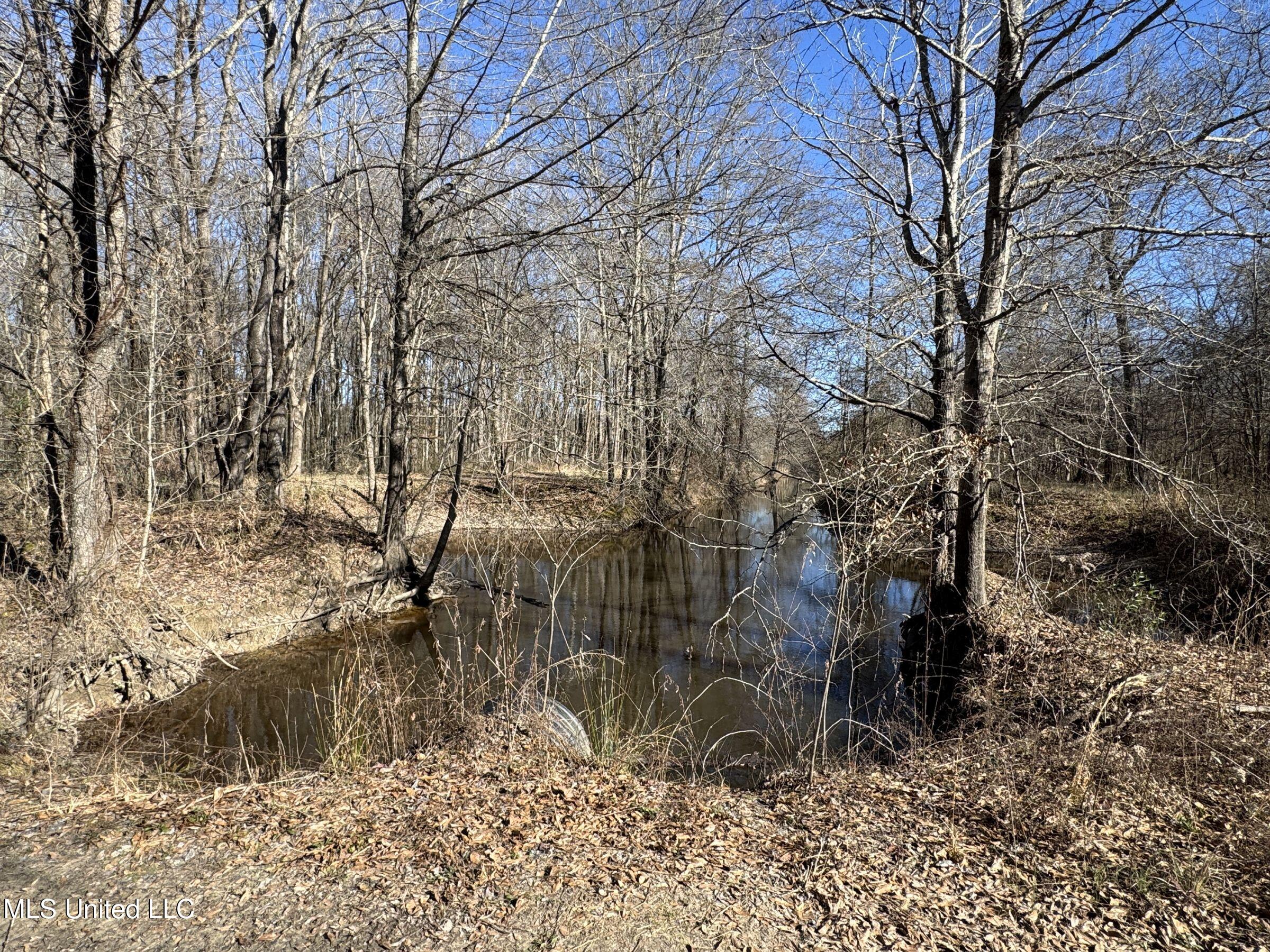 Curtis Road Batesville, MS 38606 - Photo 74 of 157 5sprgctrs8