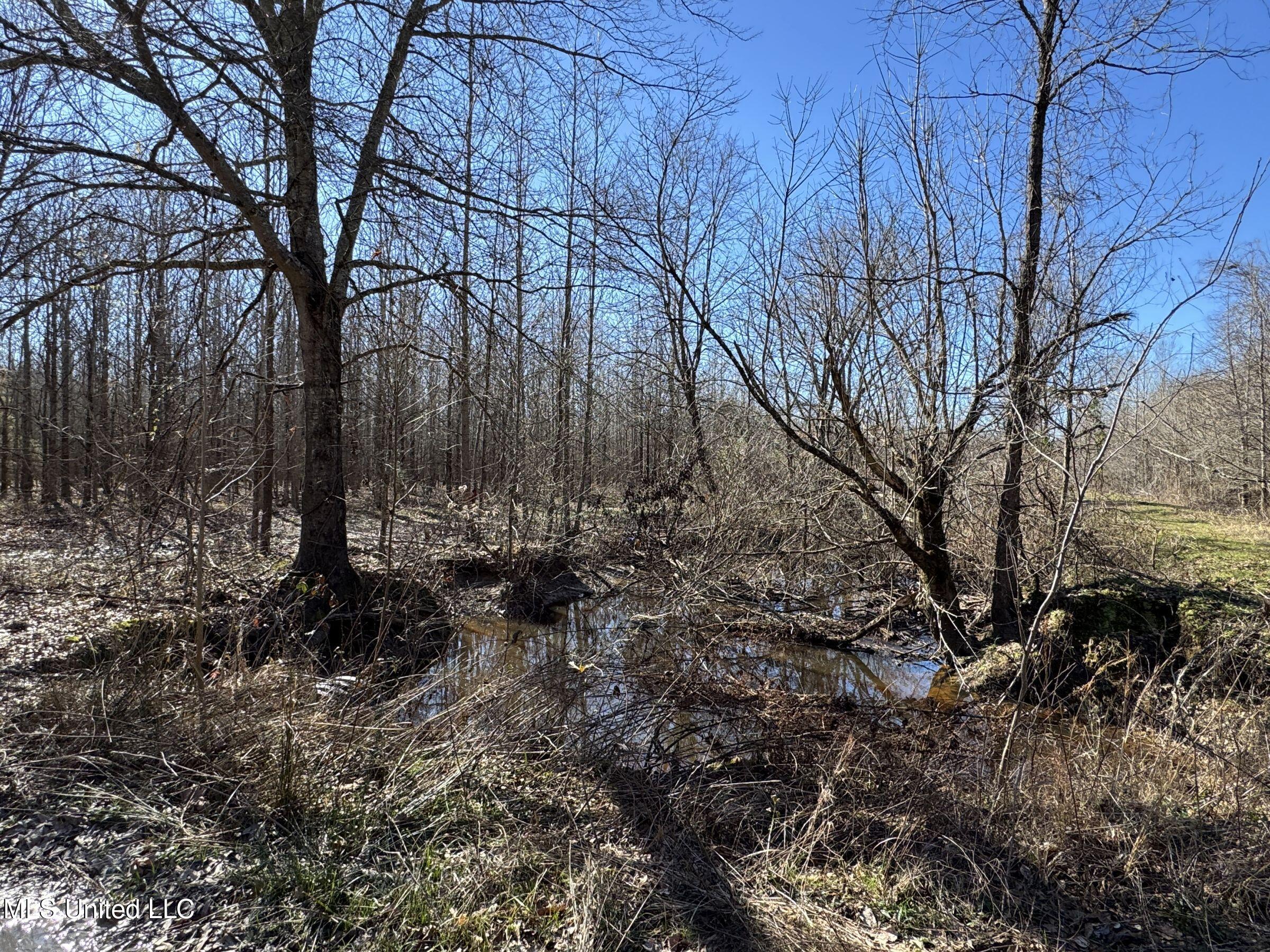 Curtis Road Batesville, MS 38606 - Photo 75 of 157 5sprgctrs9