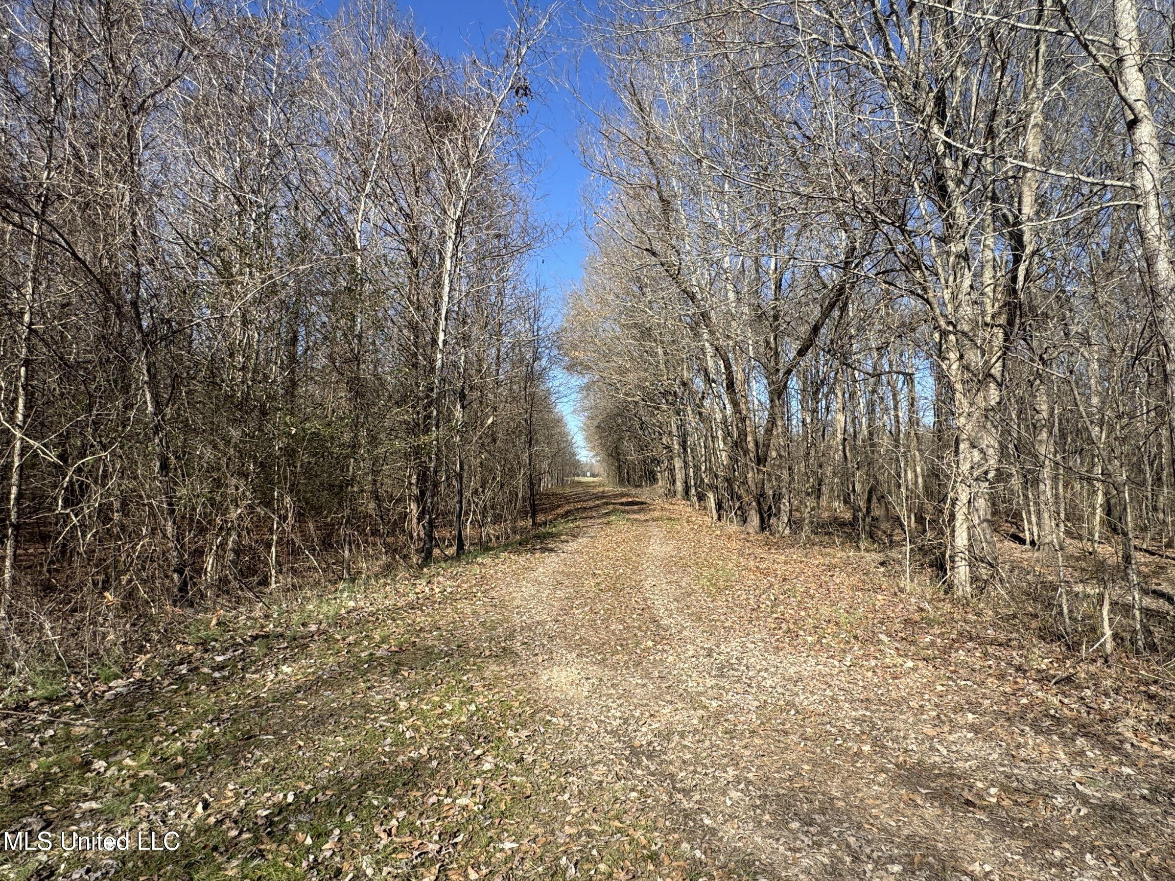 Curtis Road Batesville, MS 38606 - Photo 76 of 157 5sprgctrs11