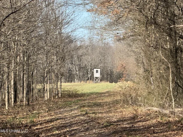 $625,000 | Curtis Road, Batesville, MS 38606