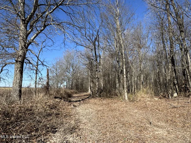 $625,000 | Curtis Road, Batesville, MS 38606