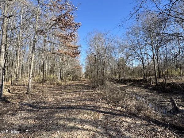 $625,000 | Curtis Road, Batesville, MS 38606