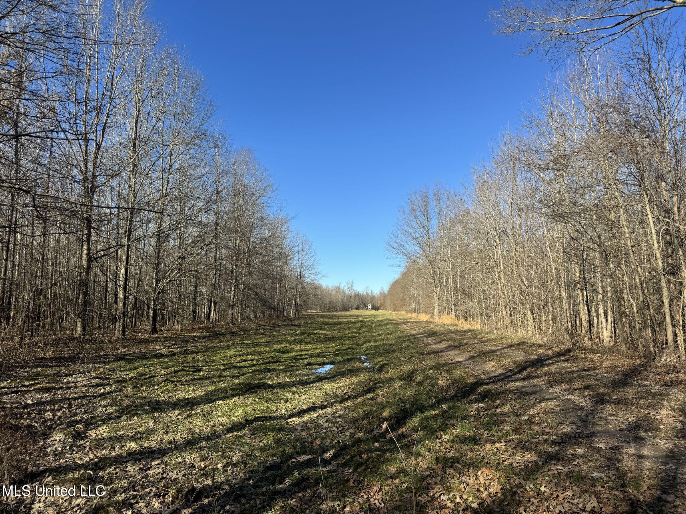 Curtis Road Batesville, MS 38606 - Photo 84 of 157 5sprgctrs21