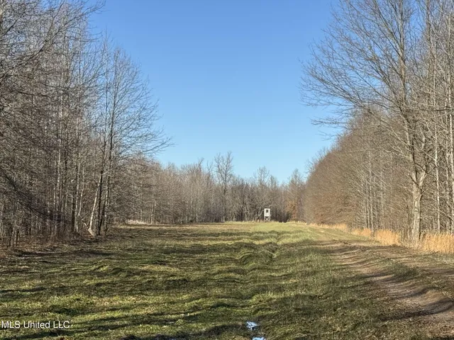 $625,000 | Curtis Road, Batesville, MS 38606