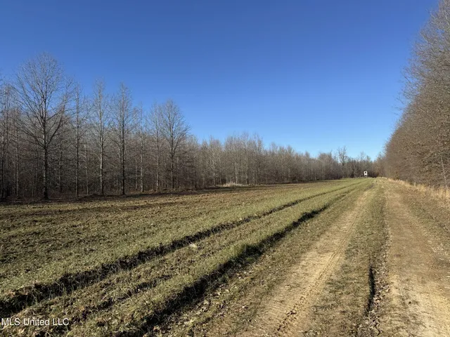 $625,000 | Curtis Road, Batesville, MS 38606