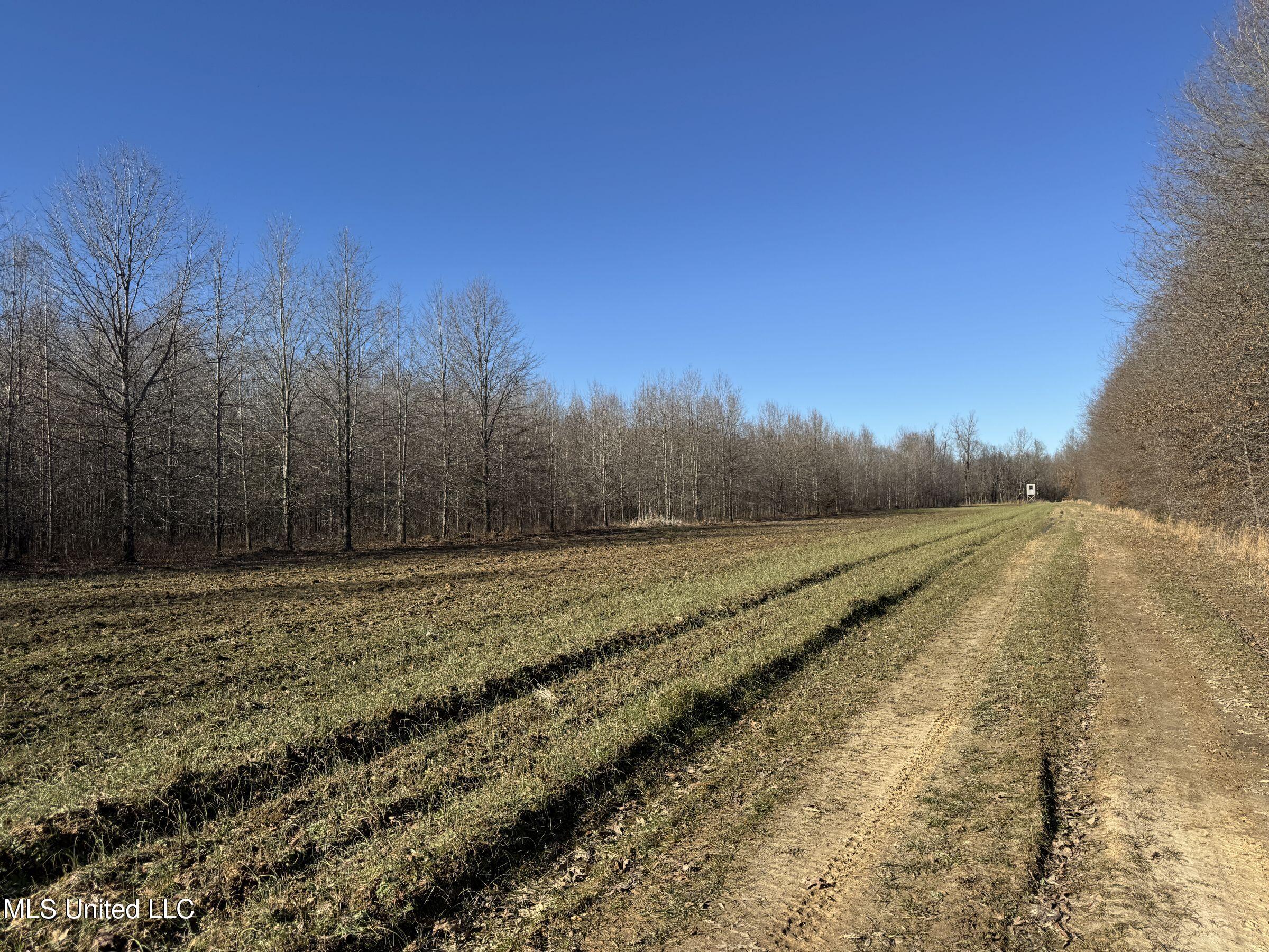 Curtis Road Batesville, MS 38606 - Photo 86 of 157 5sprgctrs23