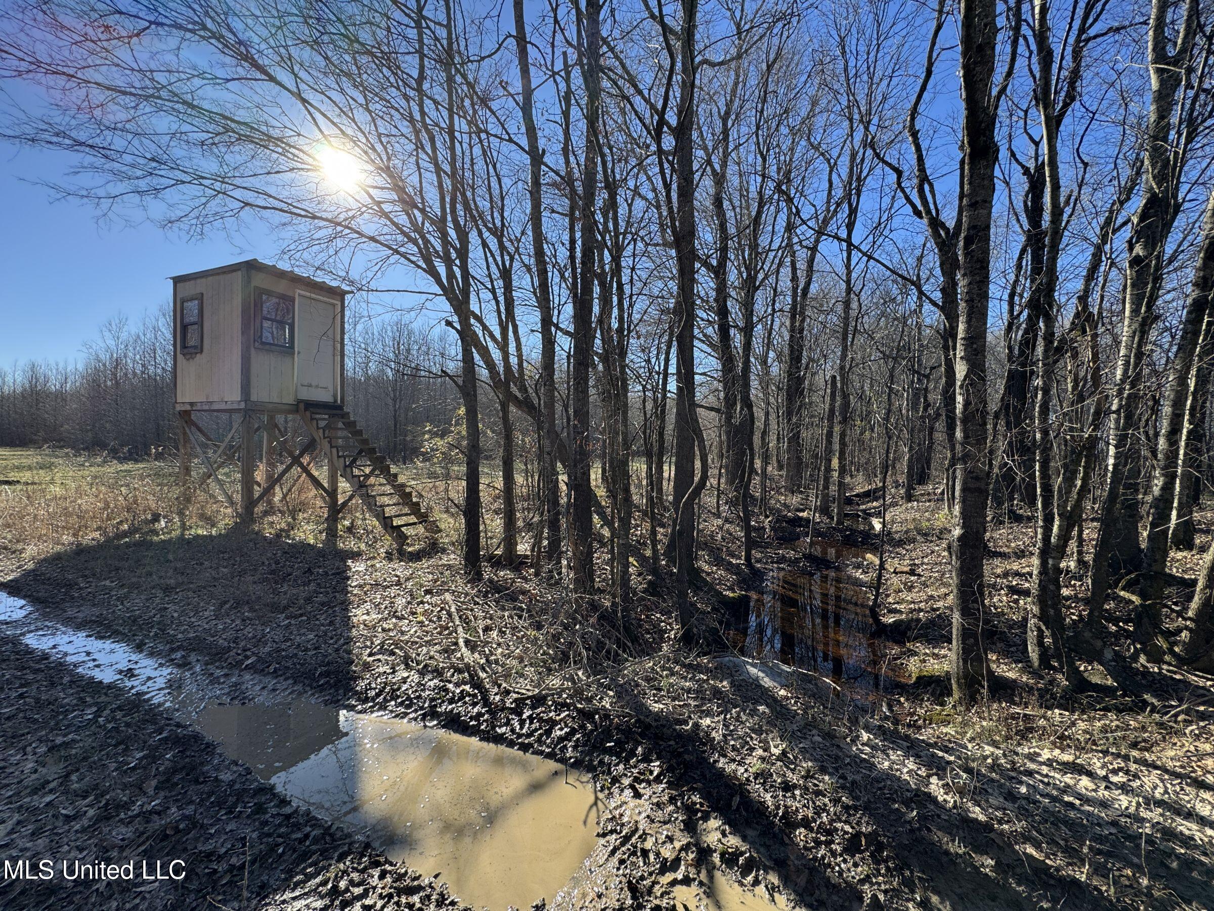 Curtis Road Batesville, MS 38606 - Photo 88 of 157 5sprgctrs25