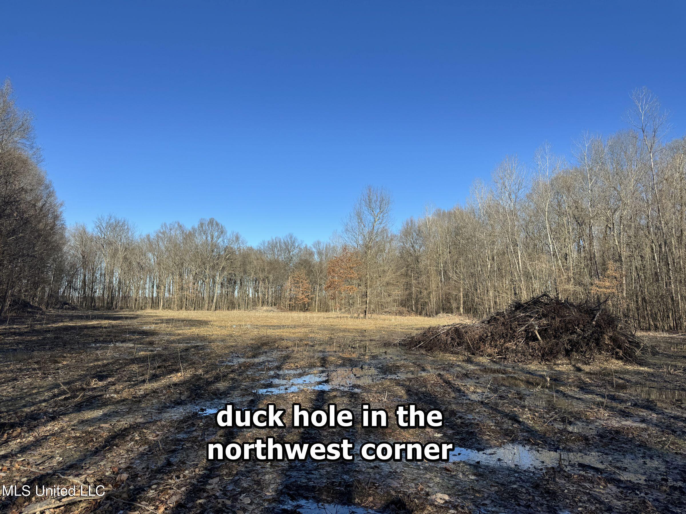 Curtis Road Batesville, MS 38606 - Photo 94 of 157 5sprgctrs36b