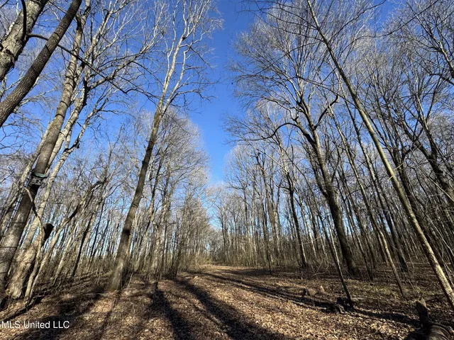 $625,000 | Curtis Road, Batesville, MS 38606