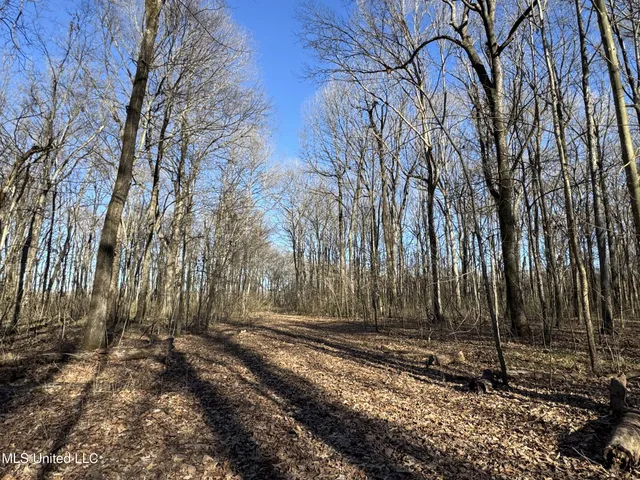 $625,000 | Curtis Road, Batesville, MS 38606