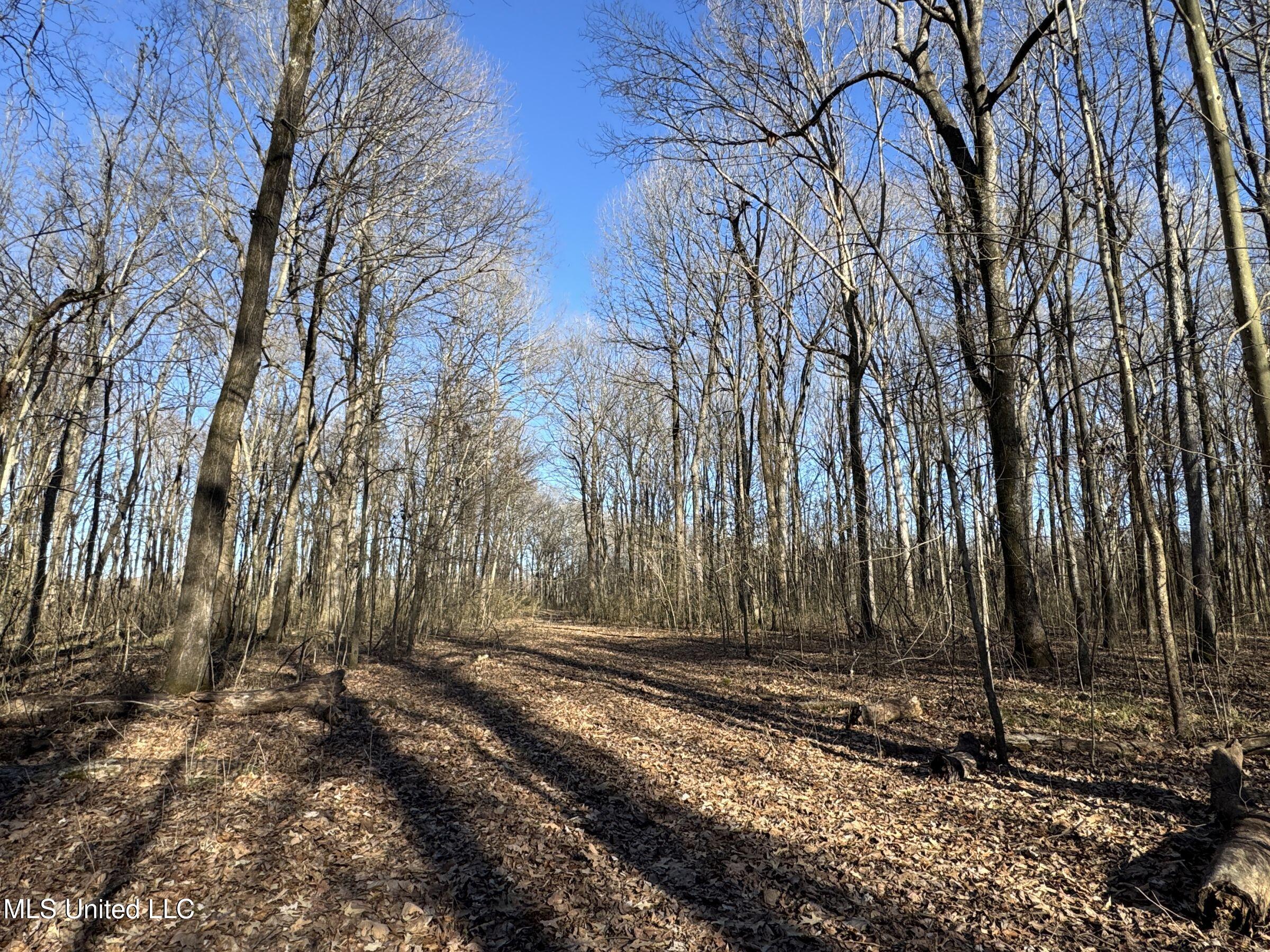 Curtis Road Batesville, MS 38606 - Photo 96 of 157 5sprgctrs39