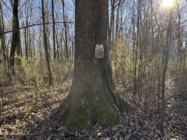 $625,000 | Curtis Road, Batesville, MS 38606