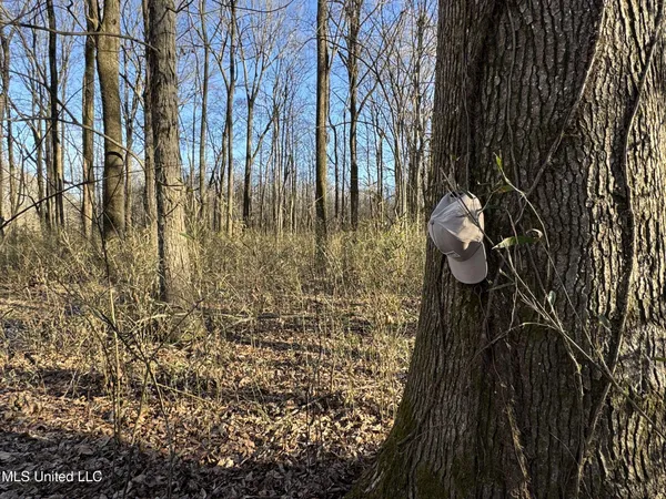$625,000 | Curtis Road, Batesville, MS 38606