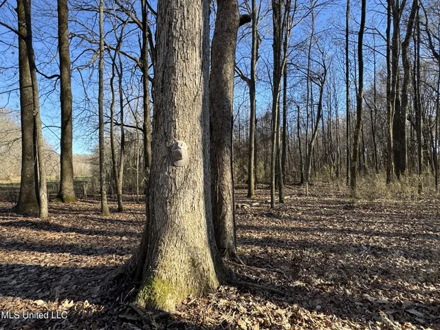 $625,000 | Curtis Road, Batesville, MS 38606