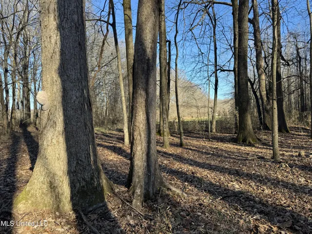 $625,000 | Curtis Road, Batesville, MS 38606