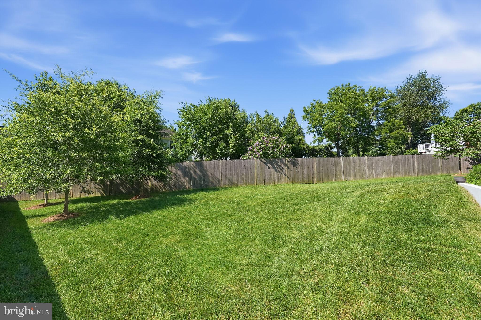 6026 Little Falls Road Arlington, VA 22207 - Photo 5 of 44 Large, flat back yard