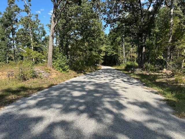 a view of a yard with plants and trees