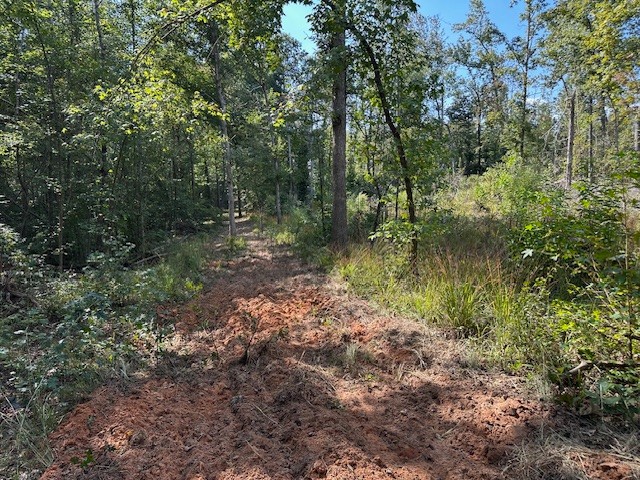 1 Firetower Road Camden, TN 38320 - Photo 14 of 19 a view of a forest with lots of trees