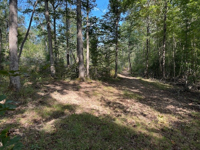 1 Firetower Road Camden, TN 38320 - Photo 16 of 19 a view of outdoor space with trees