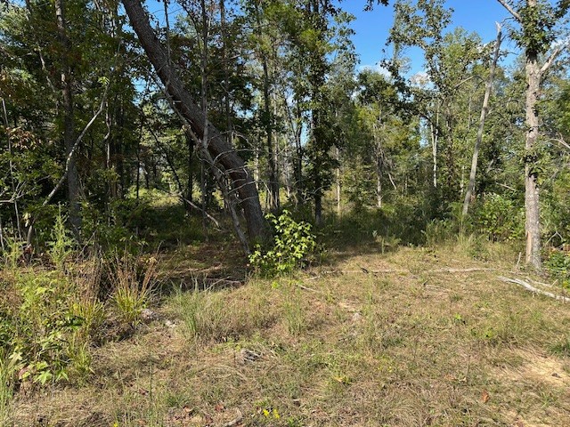 1 Firetower Road Camden, TN 38320 - Photo 17 of 19 a view of a yard with a tree