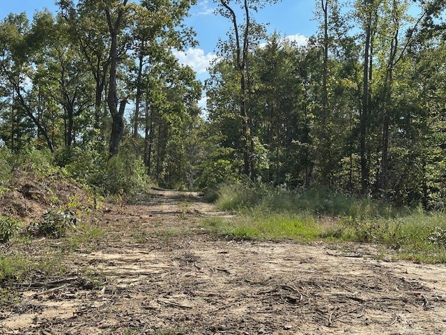 1 Firetower Road Camden, TN 38320 - Photo 18 of 19 a view of a lake view