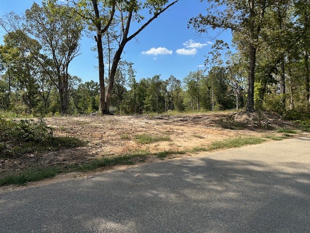 1 Firetower Road Camden, TN 38320 - Photo 2 of 19 a view of a yard with a tree