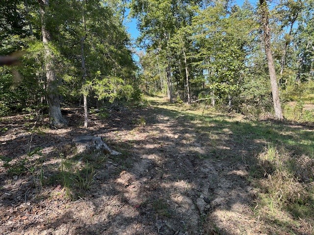 1 Firetower Road Camden, TN 38320 - Photo 3 of 19 a backyard of a house with lots of green space