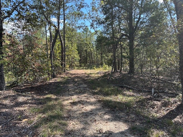 1 Firetower Road Camden, TN 38320 - Photo 4 of 19 a view of outdoor space with trees