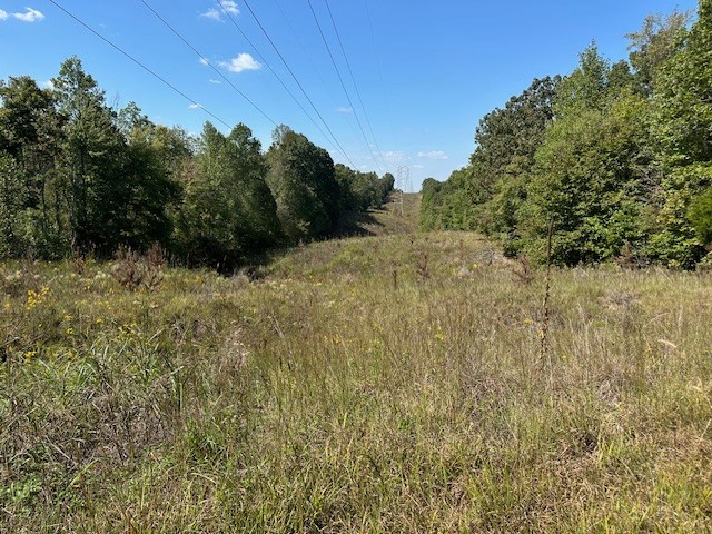1 Firetower Road Camden, TN 38320 - Photo 6 of 19 a view of a yard with a tree