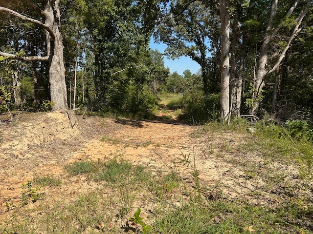 1 Firetower Road Camden, TN 38320 - Photo 8 of 19 a view of a yard with trees