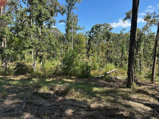 1 Firetower Road Camden, TN 38320 - Photo 10 of 19 a view of a forest with trees