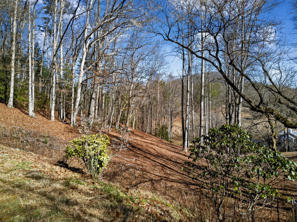 3437 Hanging Dog Road Murphy, NC 28906 - Photo 23 of 87 Gallery Image 23