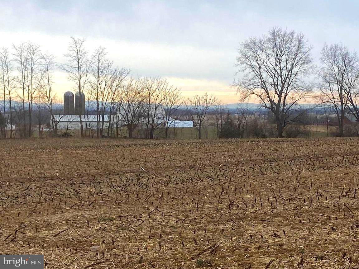 14009 Dry Run Road Clear Spring, MD 21722 - Photo 3 of 8 a backyard of a house with lots of green space