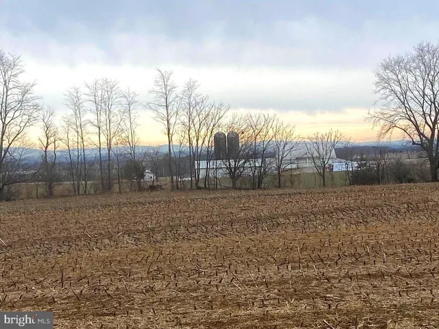a view of a yard with a trees