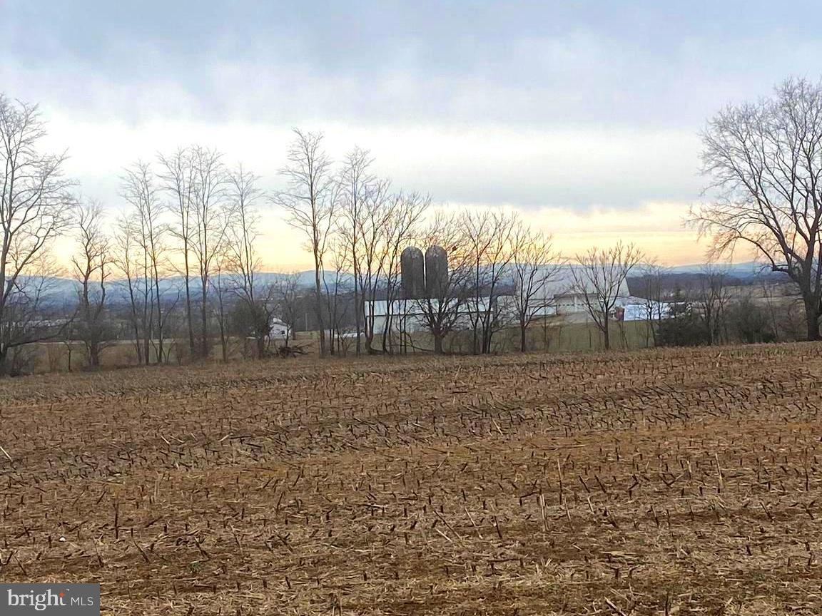 14009 Dry Run Road Clear Spring, MD 21722 - Photo 4 of 8 a view of a yard with a trees