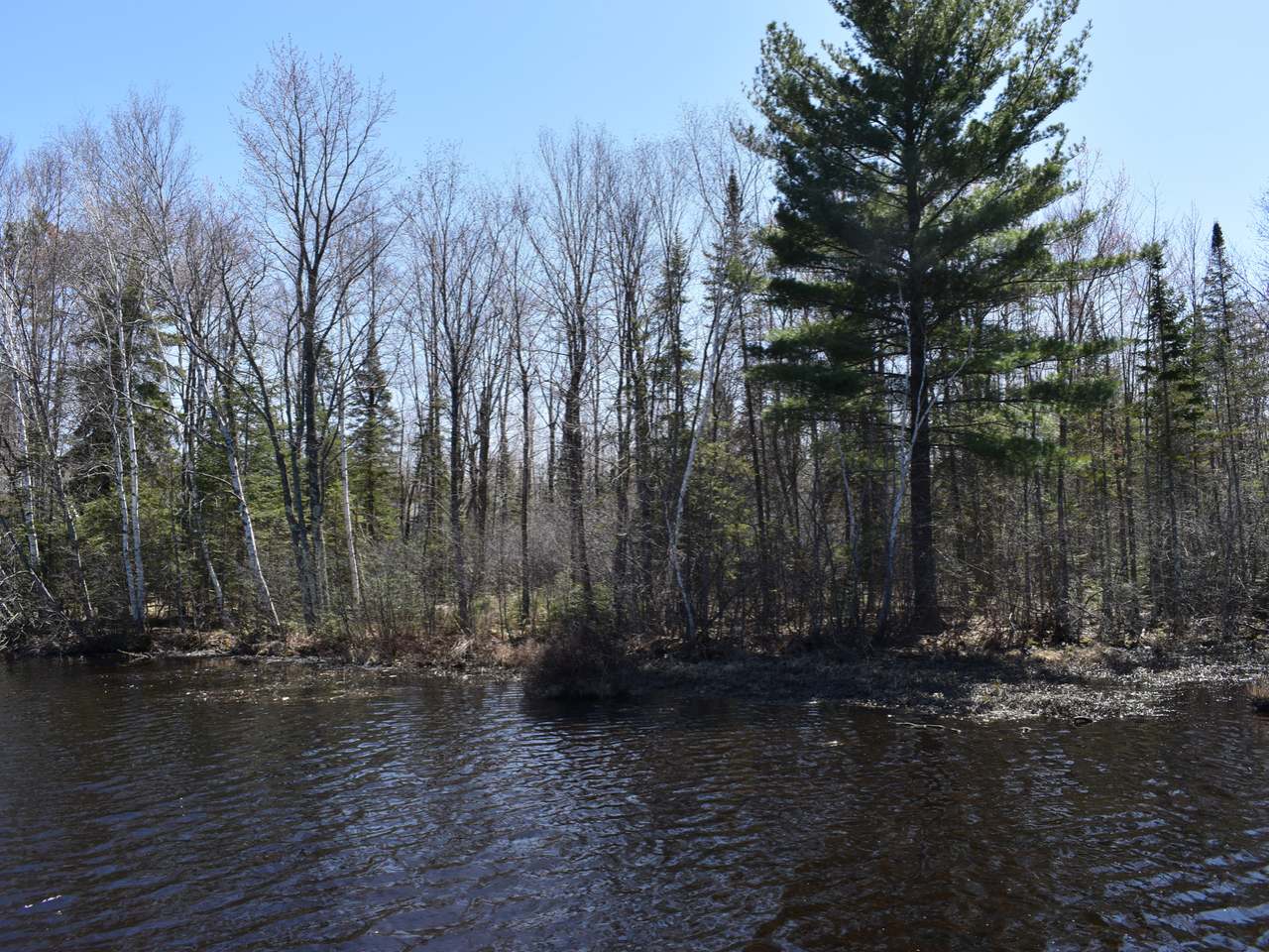Lot 8 Pfeifer Road Tomahawk, WI 54487 - Photo 25 of 25 Gallery Image 25