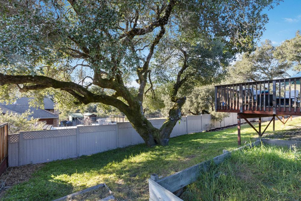 315 Kessler Way Ben Lomond, CA 95005 - Photo 40 of 50 a view of a backyard with a garden