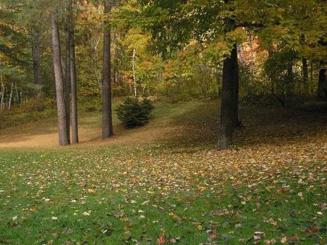 3139 Chas Denton Lane Rhinelander, WI 54501 - Photo 18 of 19 Gallery Image 18